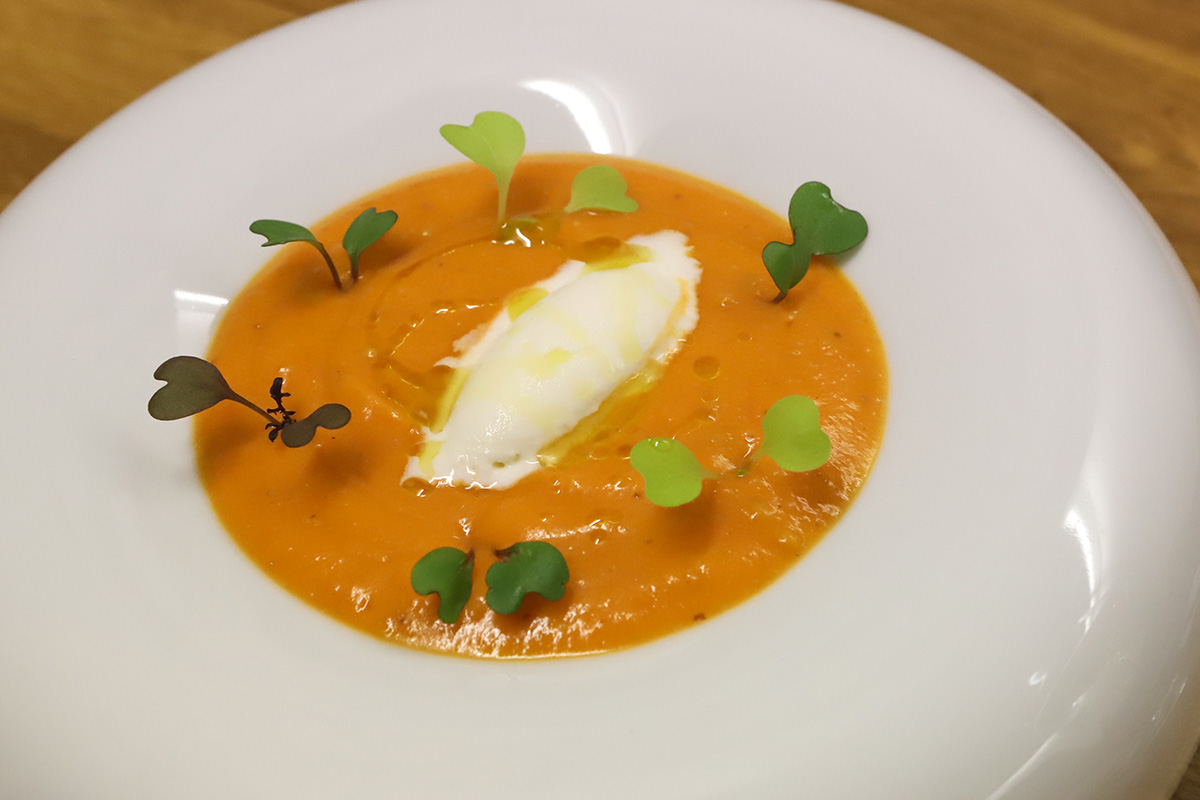 Salmorejo de avellanas tostadas con brotes de coliflor y mostaza; se emplata con helado de queso de cabra Salmorejo de avellanas tostadas con brotes de coliflor y mostaza; se emplata con helado de queso de cabra