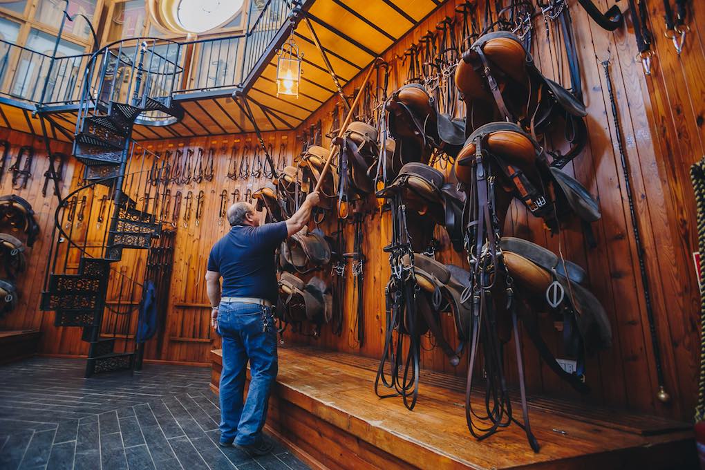 Sillas y guarniciones de los caballos de la Real Escuela Andaluza de Arte Ecuestre. Sillas y guarniciones de los caballos de la Real Escuela Andaluza de Arte Ecuestre.