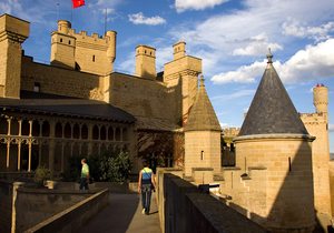 Panorama del Palacio Real de Olite. Panorama del Palacio Real de Olite.