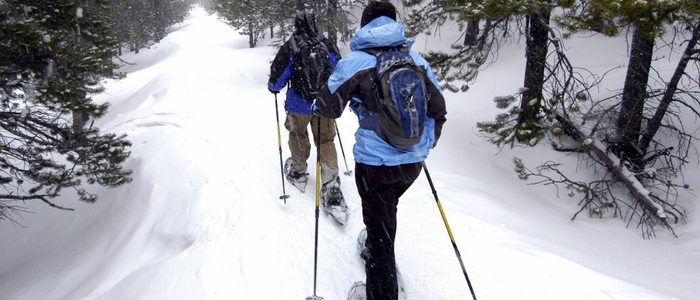 Grandvalira, paseo con raquetas de nieve. Grandvalira, paseo con raquetas de nieve.