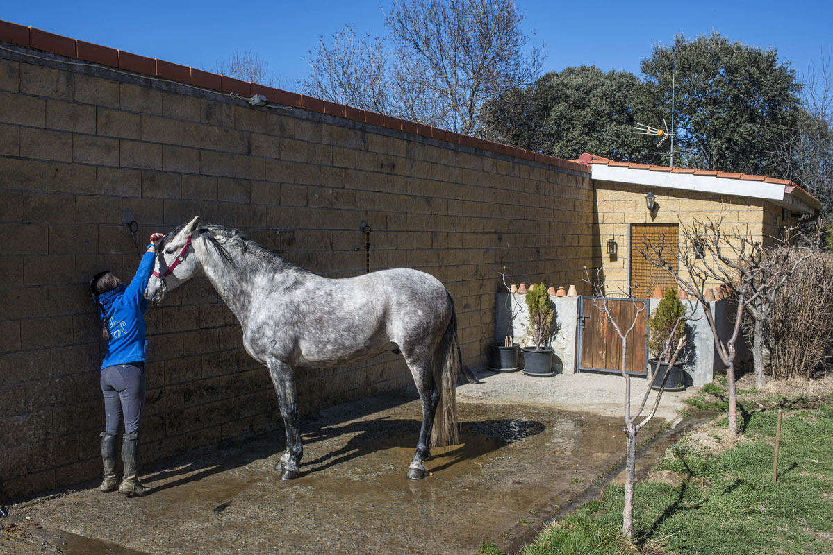 La casa del Palafrenero junto a los caballos, literalmente. La casa del Palafrenero junto a los caballos, literalmente.