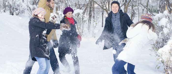 Guerra de bolas de nieve. Guerra de bolas de nieve.