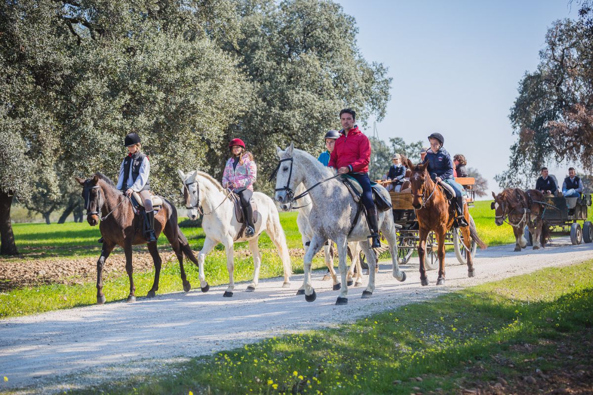 Diego Martínez capitanea el grupo de caballos y niños de la ruta. Diego Martínez capitanea el grupo de caballos y niños de la ruta.
