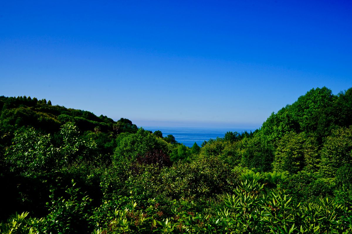 Vistas desde los jardines de la Fonte Baixa, en Luarca (Asturias). Vistas desde los jardines de la Fonte Baixa, en Luarca (Asturias).