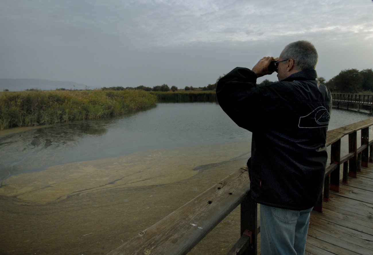 Parque Nacional Daimiel: turista contempla las tablas Parque Nacional Daimiel: turista contempla las tablas