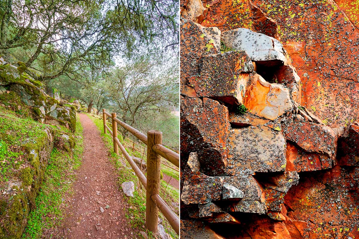 Senderos para perderse y rocas para estudiar colores y texturas. Foto: Shutterstock. Senderos para perderse y rocas para estudiar colores y texturas. Foto: Shutterstock.