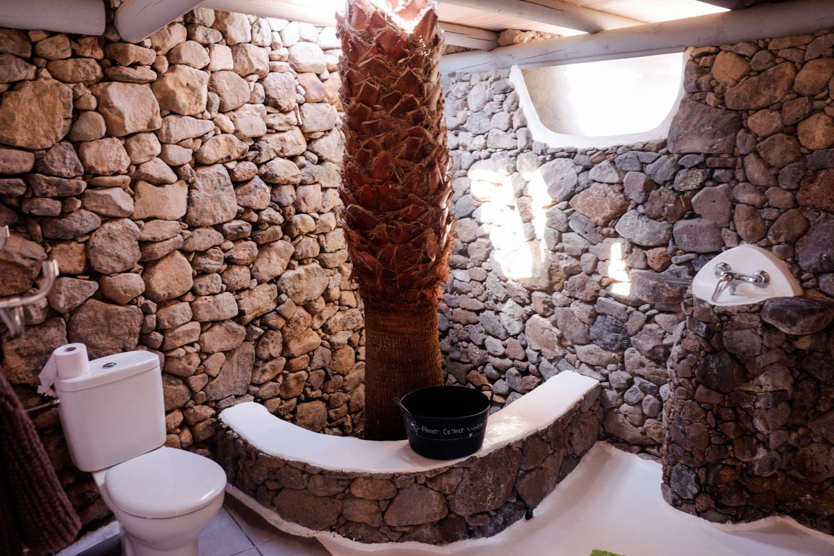 En el baño del alojamiento Eco Chico Yurt crece una palmera. En el baño del alojamiento Eco Chico Yurt crece una palmera.
