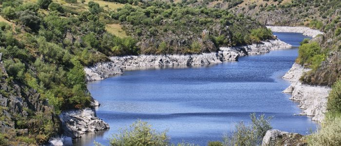 El río Tajo proporciona un gran caudal de agua para regar los campos de la comarca. El río Tajo proporciona un gran caudal de agua para regar los campos de la comarca.