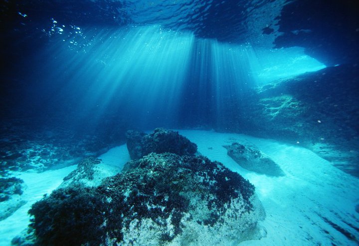 En busca de la posidonia. Foto: Manu San Félix, Facebook Turismo Formentera. En busca de la posidonia. Foto: Manu San Félix, Facebook Turismo Formentera.