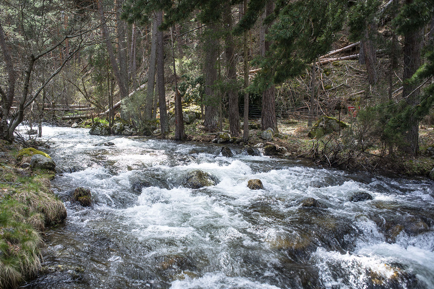 Cascadas de Sierra de Guadarrama: El Chorro de Navafría Cascadas de Sierra de Guadarrama: El Chorro de Navafría