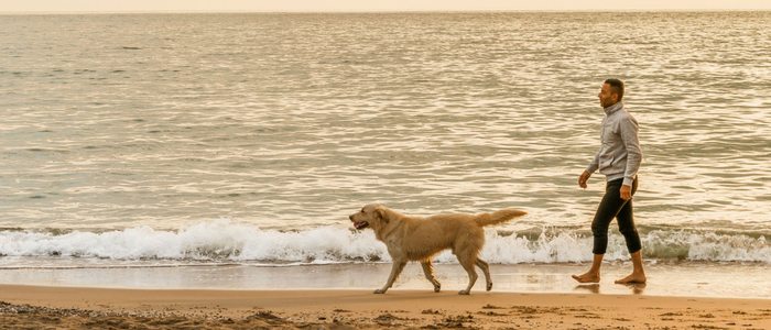Existen playas con zonas acotadas donde podemos pasear tranquilamente con ellos. Existen playas con zonas acotadas donde podemos pasear tranquilamente con ellos.