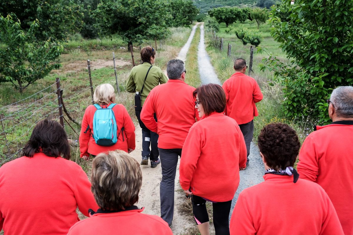 Caminando hacia la finca, con la guía a la cabeza, se inicia la experiencia de agroturismo. Caminando hacia la finca, con la guía a la cabeza, se inicia la experiencia de agroturismo.