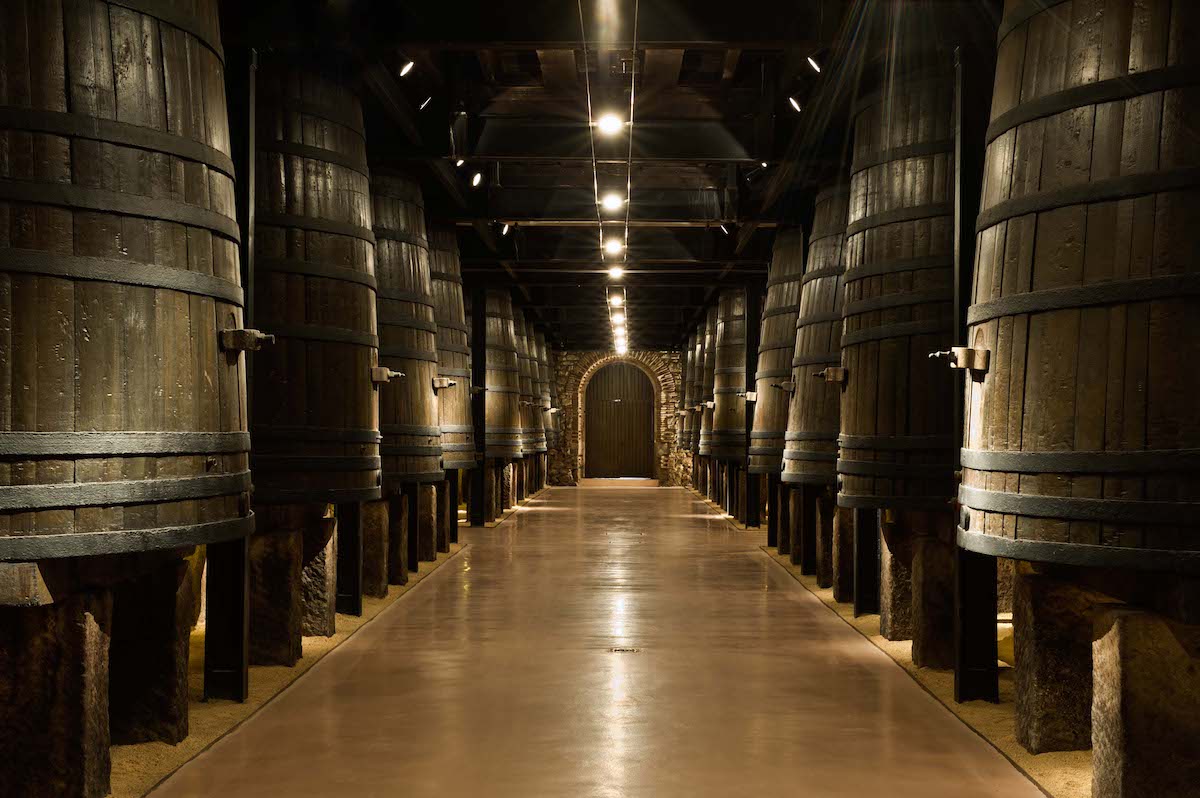 Sala de barricas de vino tinto. Sala de barricas de vino tinto.