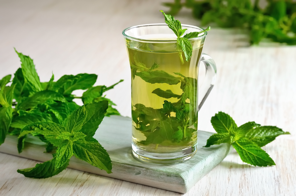 Té de menta, no podrás dejar de beberlo. Foto: Shutterstock. Té de menta, no podrás dejar de beberlo. Foto: Shutterstock.