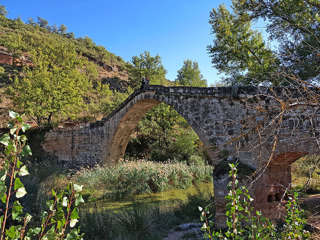El puente romano, una pequeña sorpresa de la A-2205. El puente romano, una pequeña sorpresa de la A-2205.