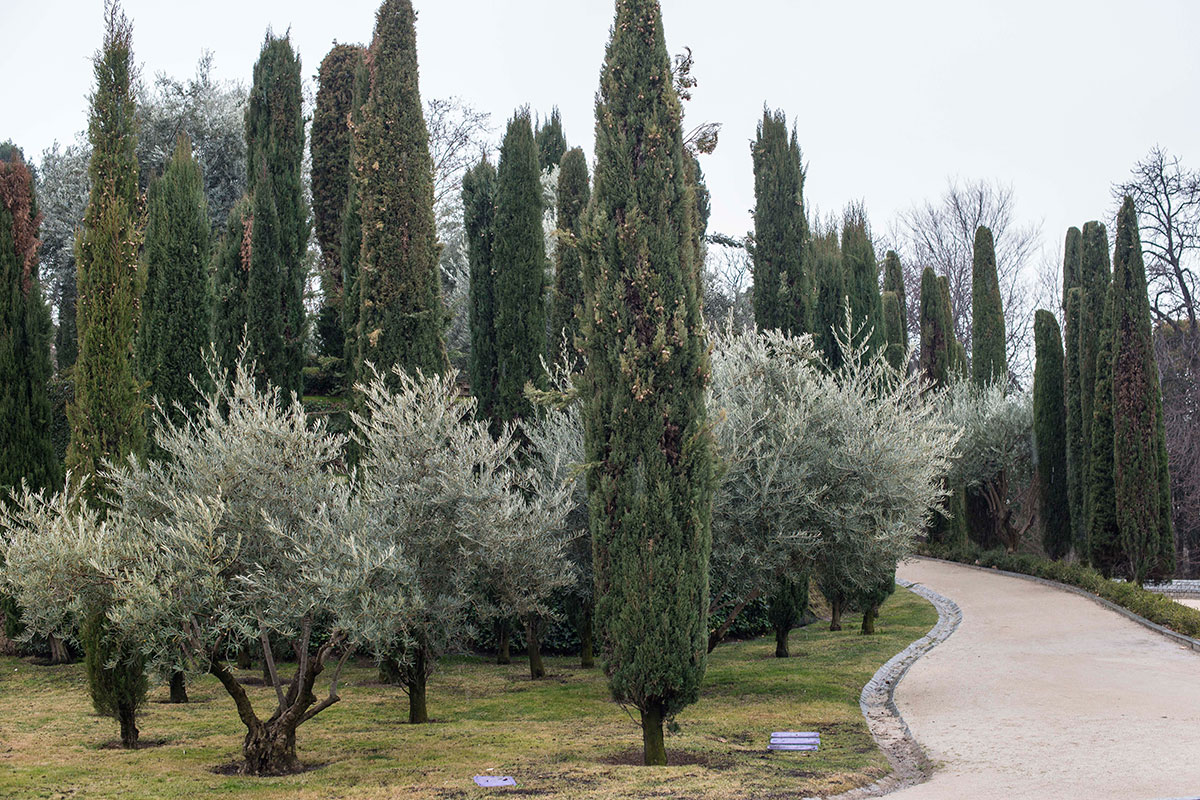 El Bosque del Recuerdo, homenaje a las víctimas del 11M, una de las joyas de los Jardines. El Bosque del Recuerdo, homenaje a las víctimas del 11M, una de las joyas de los Jardines.