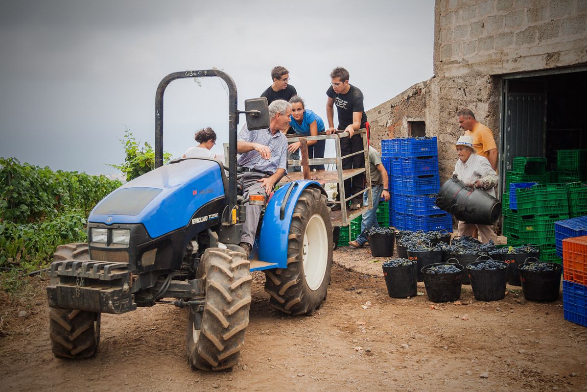 El primer vino de la bodega lo sacó al mercado el padre, aunque desde 1980 embotellan vino. El primer vino de la bodega lo sacó al mercado el padre, aunque desde 1980 embotellan vino.