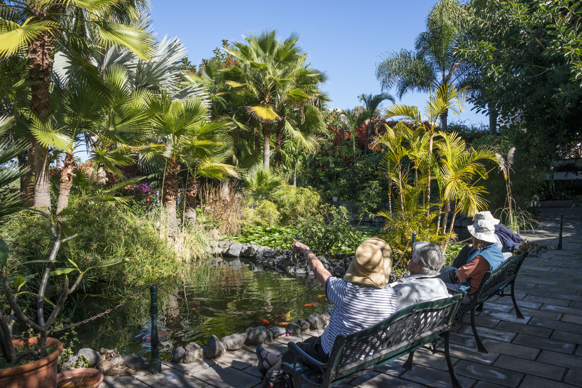 Los jardines de Sitio Litre, cada vez más apreciados por su paz y cuidados. Los jardines de Sitio Litre, cada vez más apreciados por su paz y cuidados.