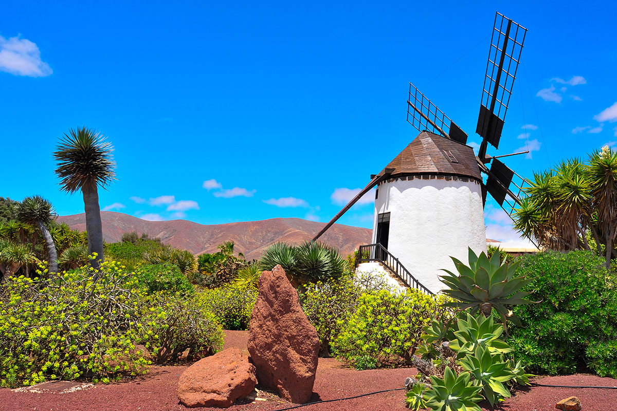 Unamuno cambio la fama de la isla canaria. Foto: Shutterstock Unamuno cambio la fama de la isla canaria. Foto: Shutterstock