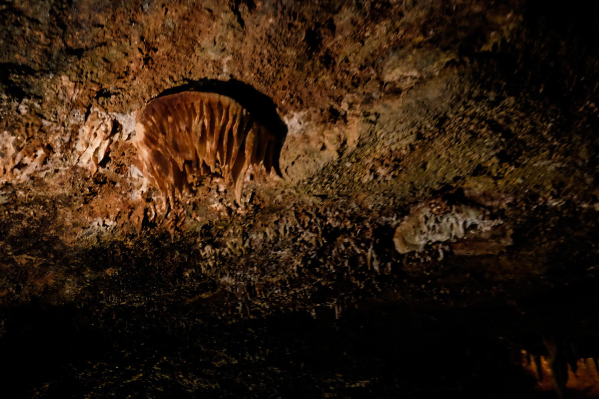 Esta estalactita, conocida como La Medusa, es una de las más peculiares de la caverna. Esta estalactita, conocida como La Medusa, es una de las más peculiares de la caverna.