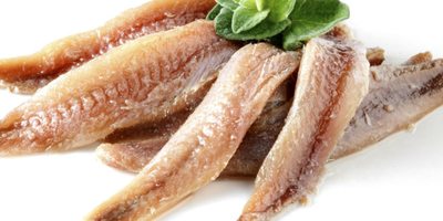 Anchoas en salazón. Anchoas en salazón.