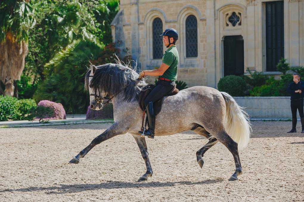 La comunicación entre jinete y caballo es vital. La comunicación entre jinete y caballo es vital.
