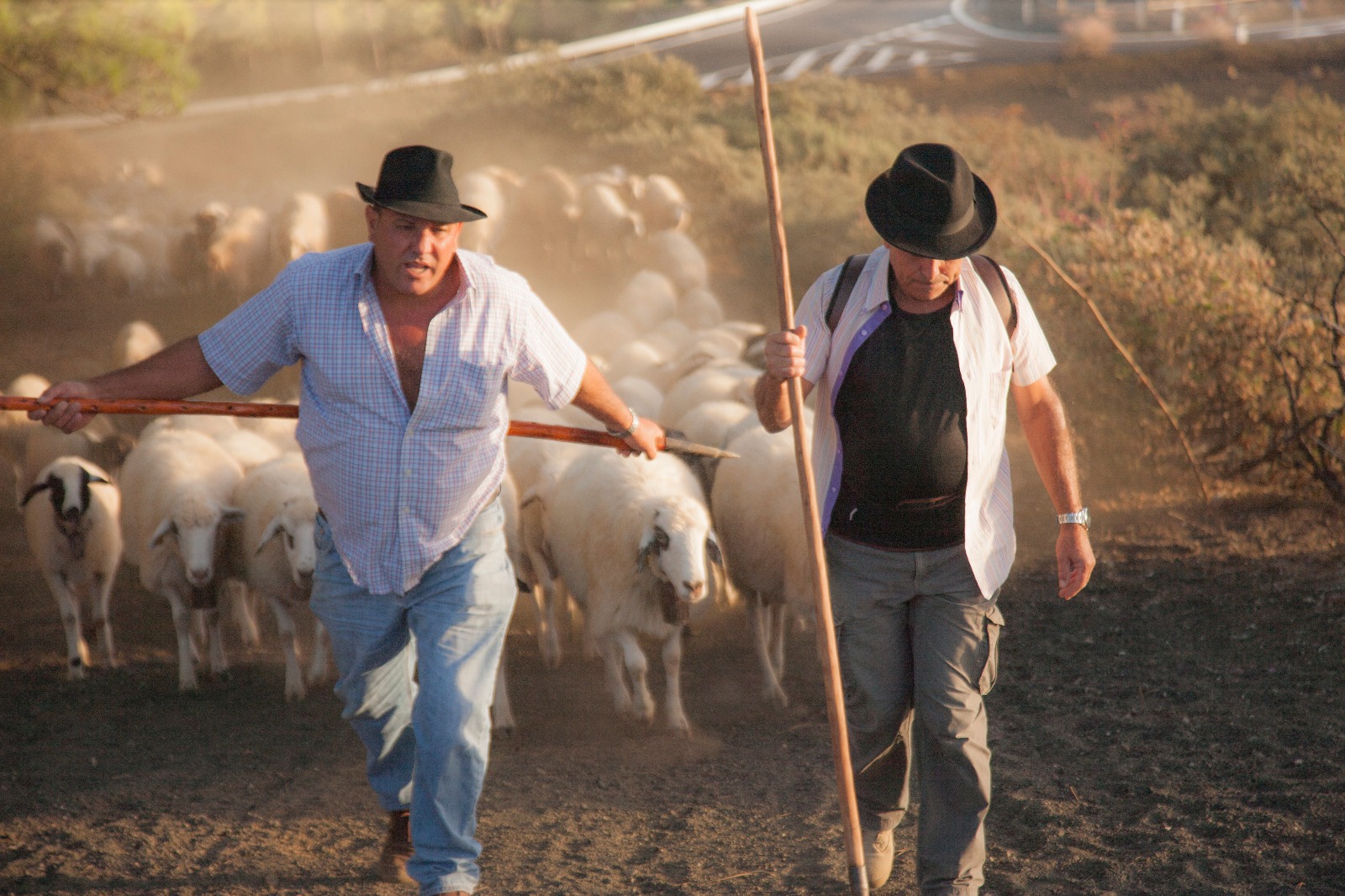 Durante la trashumancia, Cristóbal se hace acompañar de otros pastores y algunos amigos. Foto: Isidoro Jiménez (cedida). Durante la trashumancia, Cristóbal se hace acompañar de otros pastores y algunos amigos. Foto: Isidoro Jiménez (cedida).