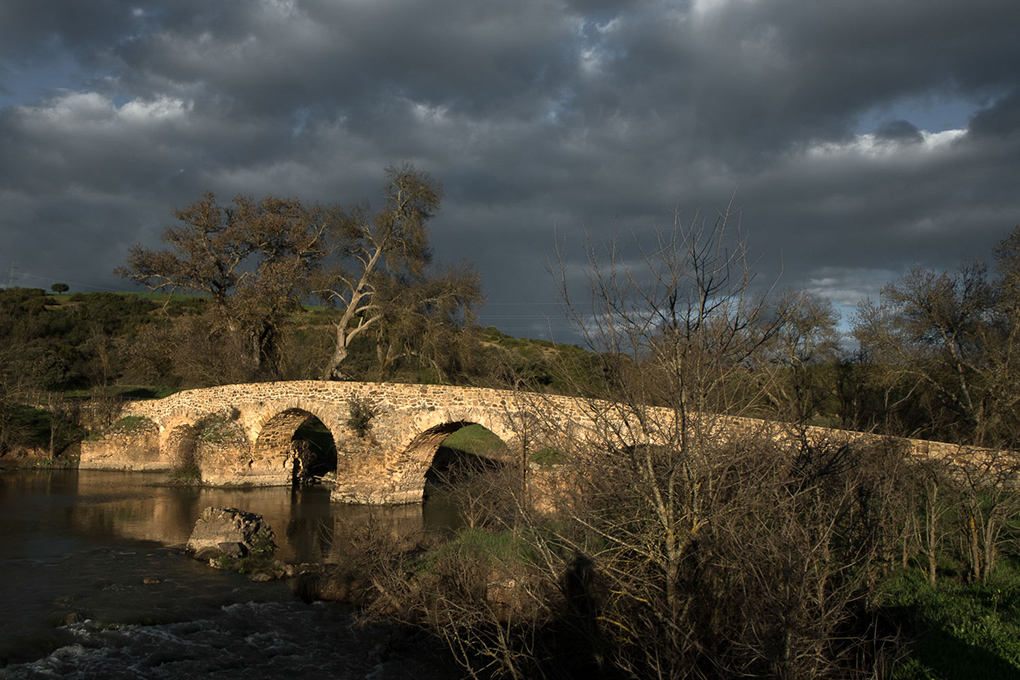 El Puente de las ovejas, testigo inmóvil de la trashumancia en España. El Puente de las ovejas, testigo inmóvil de la trashumancia en España.