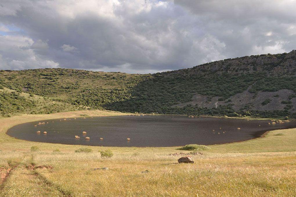 Laguna de la hoya de Cervera, en el municipio de Almagro. Laguna de la hoya de Cervera, en el municipio de Almagro.