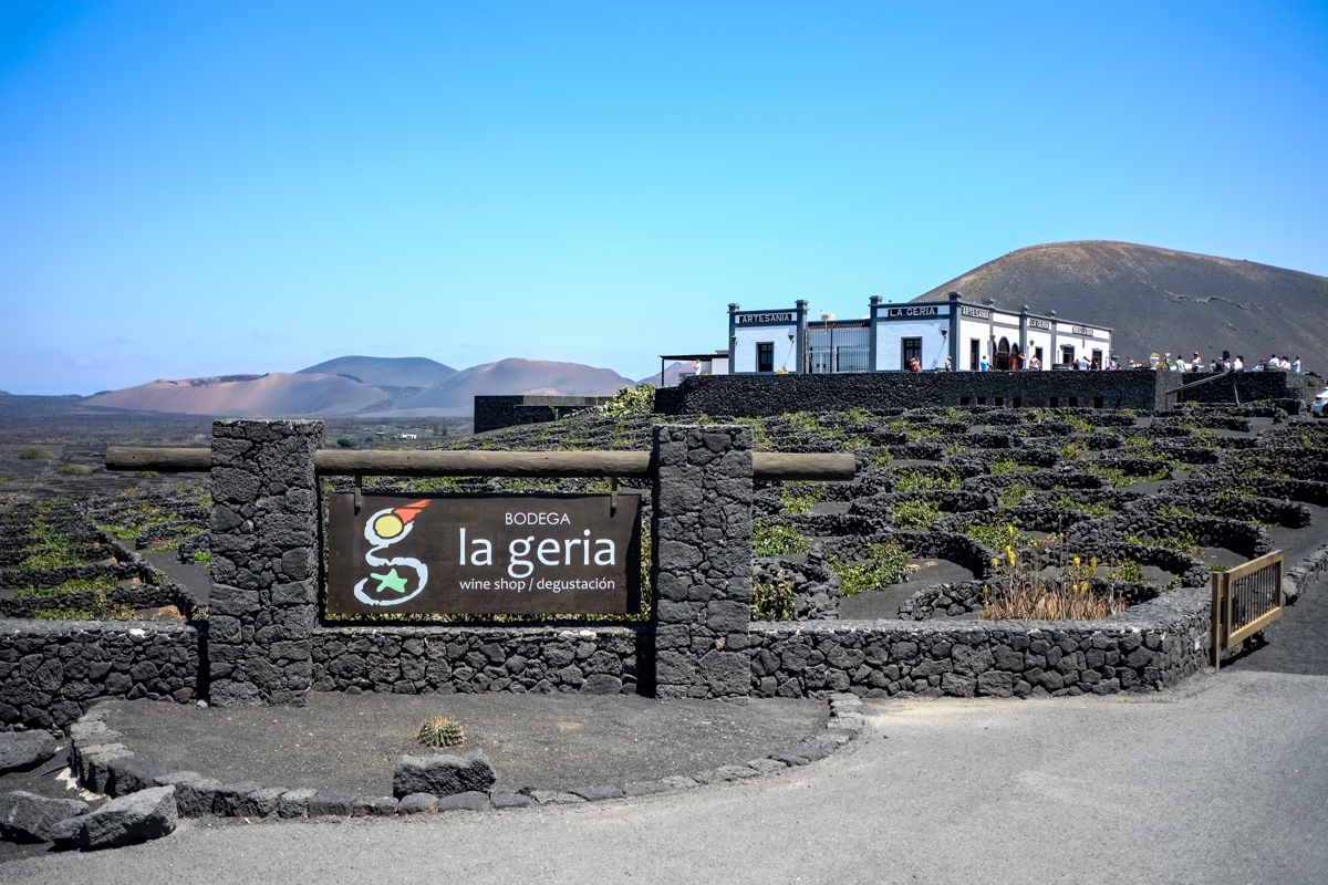 Vinos en Lanzarote: Fiesta de la Vendimia Tradicional en La Geria. Foto: Hugo Palotto Vinos en Lanzarote: Fiesta de la Vendimia Tradicional en La Geria. Foto: Hugo Palotto