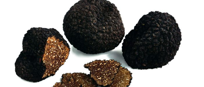 Trufa negra. Trufa negra.