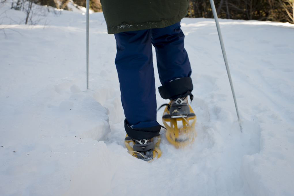 Primeros pasos para comprobar que las raquetas son asequibles a todas las edades y profundidades de la nieve. Primeros pasos para comprobar que las raquetas son asequibles a todas las edades y profundidades de la nieve.