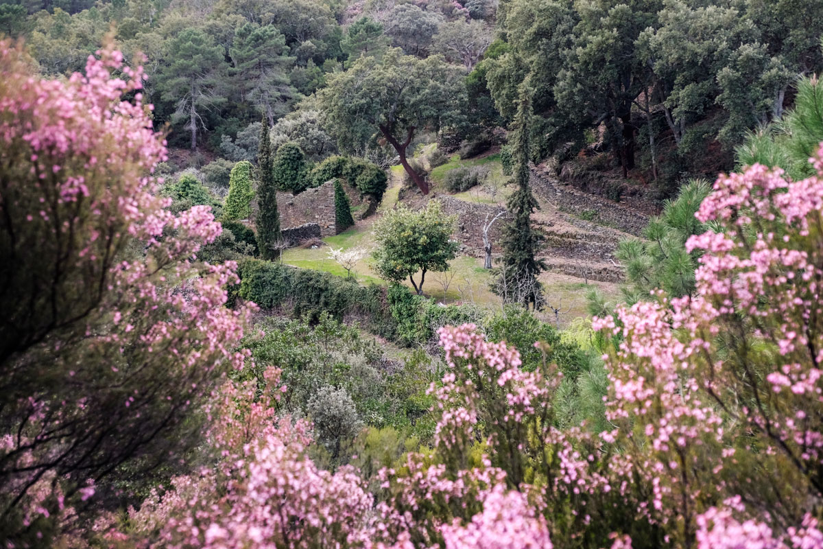 El entorno de Las Hurdes resplandece en primavera. El entorno de Las Hurdes resplandece en primavera.