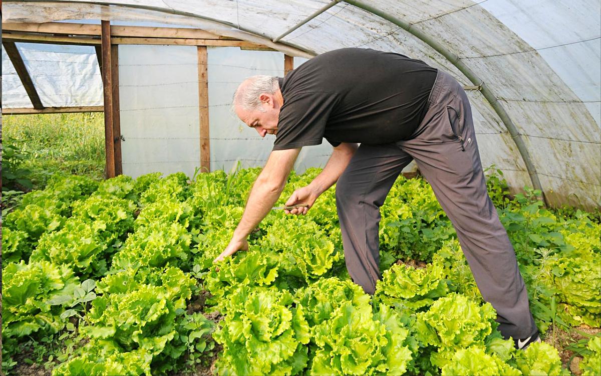 El chef elige personalmente el producto más fresco. Foto: Etxebarri. El chef elige personalmente el producto más fresco. Foto: Etxebarri.