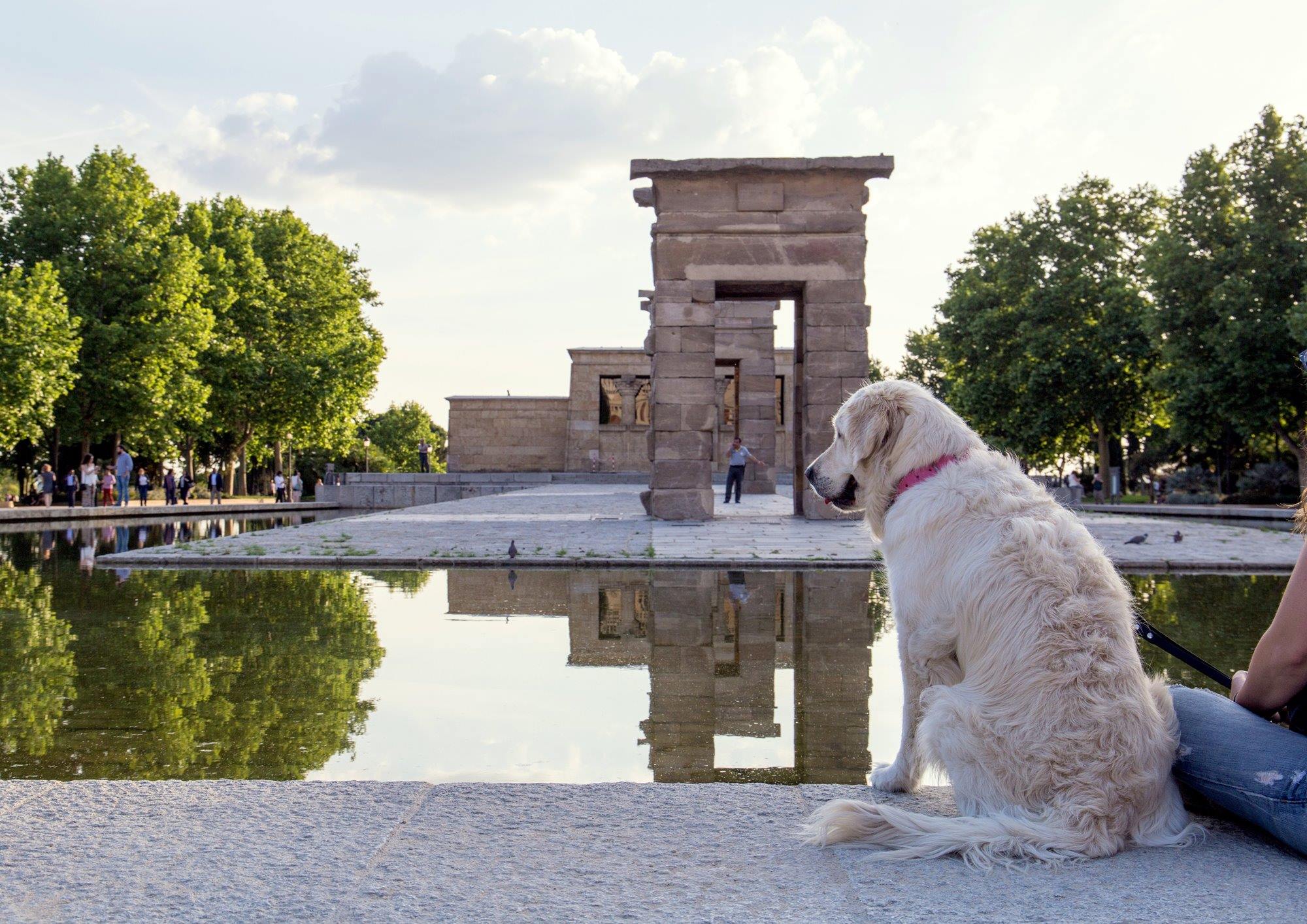 Una parada en el Templo de Debod durante una ruta cultural por el centro de Madrid. Foto: Shutterstock Una parada en el Templo de Debod durante una ruta cultural por el centro de Madrid. Foto: Shutterstock