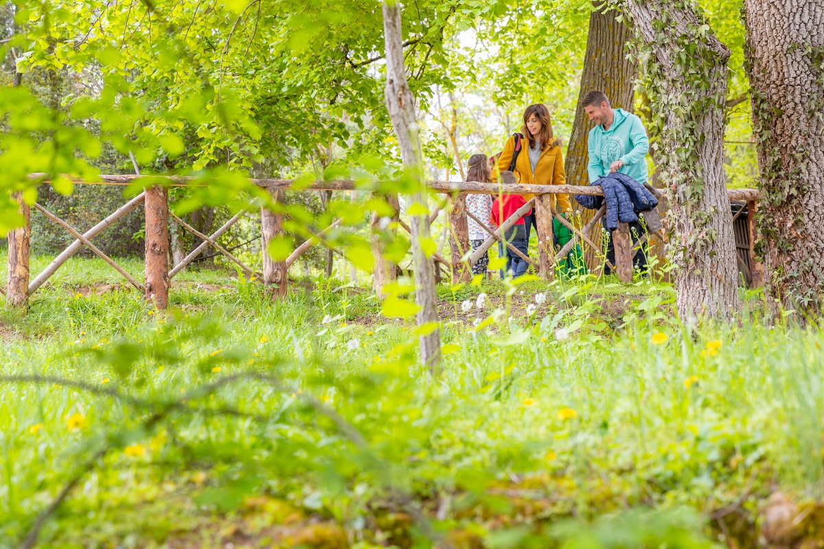 El Monasterio de Piedra es hogar de más de 20 aves distintas, pero también de nutrias y garduñas que se cobijan en su vegetación. El Monasterio de Piedra es hogar de más de 20 aves distintas, pero también de nutrias y garduñas que se cobijan en su vegetación.