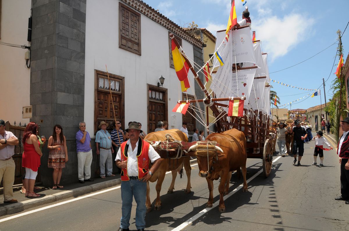 Los bueyes tiran de una carreta con un barco durante la romería de San Isidro Labrador en Tacoronte, Tenerife. Los bueyes tiran de una carreta con un barco durante la romería de San Isidro Labrador en Tacoronte, Tenerife.