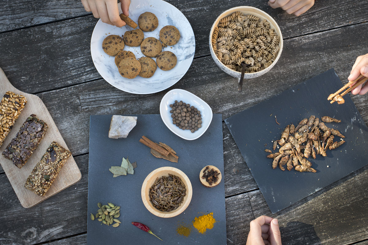 Los insectos son un alimento de lo más saludable. Los insectos son un alimento de lo más saludable.