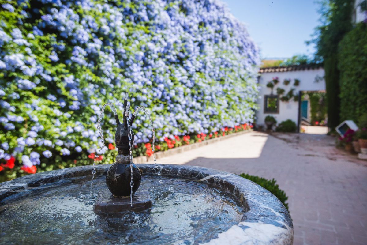 El Patio de Los Jardineros, con su fuente cantarina, cubierto totalmente de celestina. El Patio de Los Jardineros, con su fuente cantarina, cubierto totalmente de celestina.