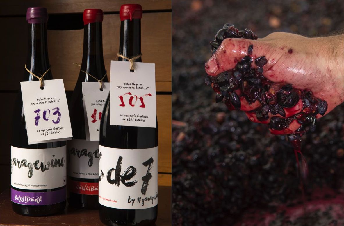 Algunos de los vinos han sido premiados por reconocidos medios del sector. Algunos de los vinos han sido premiados por reconocidos medios del sector.