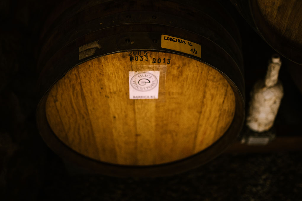 Aquí reposa uno de los vinos más caros de Galicia. Aquí reposa uno de los vinos más caros de Galicia.