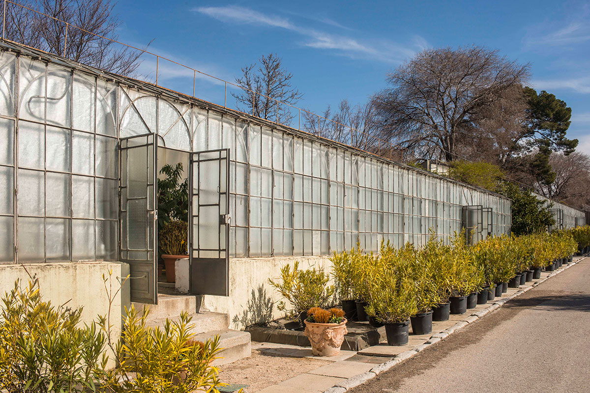 La mayoría de las estufas del Vivero del Retiro están fabricadas en Bélgica hace 200 años. La mayoría de las estufas del Vivero del Retiro están fabricadas en Bélgica hace 200 años.