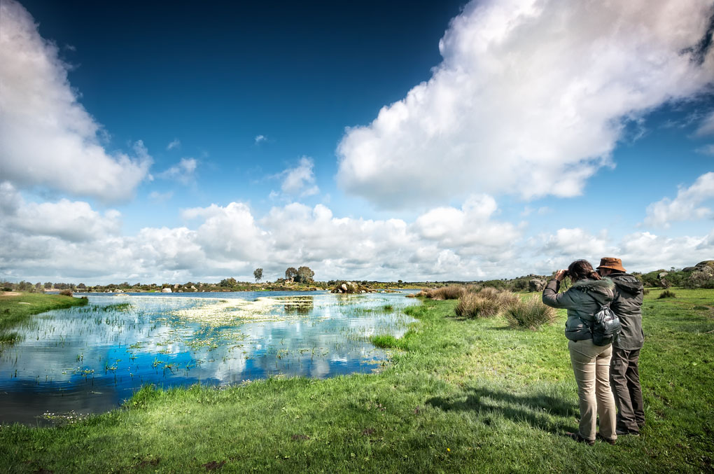 Los Barruecos forman un paisaje único digno de película. Foto: Shutterstock. Los Barruecos forman un paisaje único digno de película. Foto: Shutterstock.