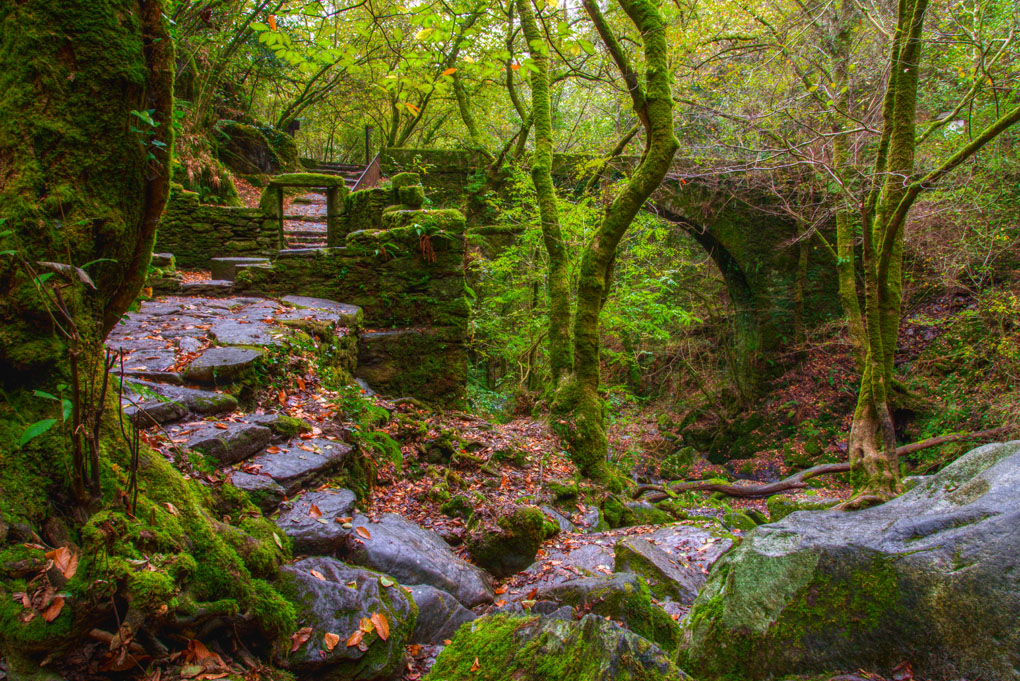 Paisaje naturista en A Coruña. Foto: Shutterstock Paisaje naturista en A Coruña. Foto: Shutterstock