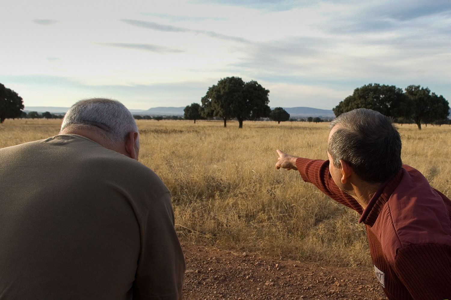 Dos hombres observan a los ciervos. Dos hombres observan a los ciervos.