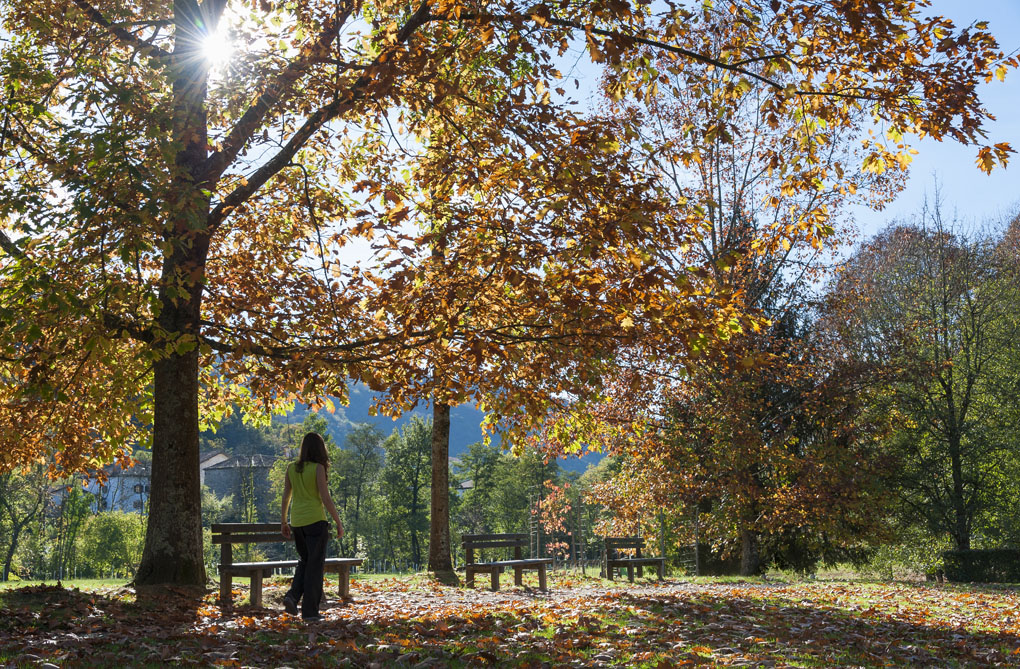 Mujer paseando por un bosque en Navarra. Foto: Shutterstock Mujer paseando por un bosque en Navarra. Foto: Shutterstock