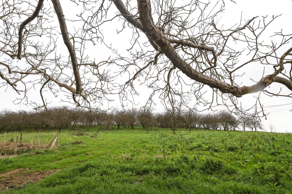 Entrar en contacto con el campo, otro aliciente. Entrar en contacto con el campo, otro aliciente.