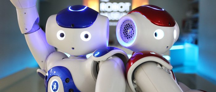 The Robot Museum. The Robot Museum.
