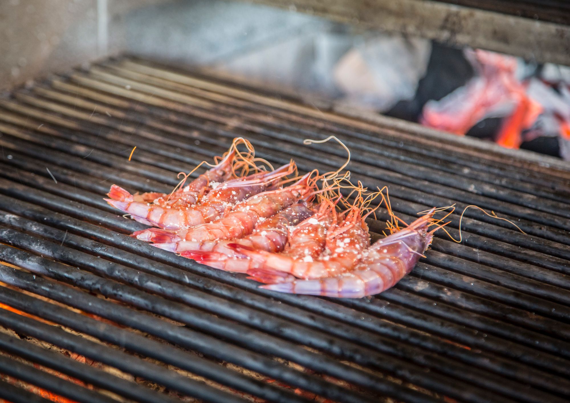 ¿Quién se puede resisitir a estas gambas a la parrilla como aperitivo? Foto: Pez Fuego. ¿Quién se puede resisitir a estas gambas a la parrilla como aperitivo? Foto: Pez Fuego.