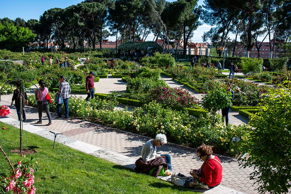 Unas señoras reposan junto a los rosales de La Rosaleda en el Parque del Oeste, Madrid. Unas señoras reposan junto a los rosales de La Rosaleda en el Parque del Oeste, Madrid.